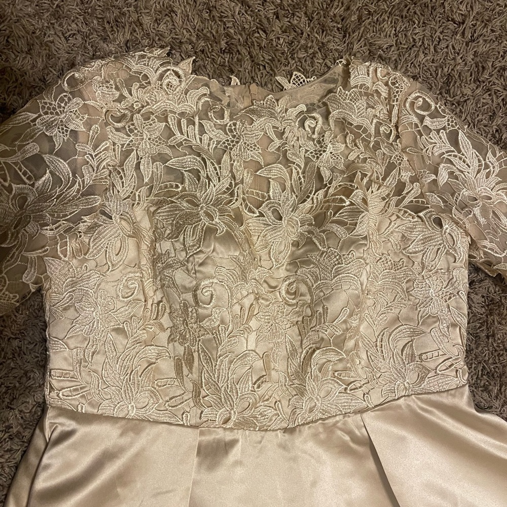 Women’s tea length formal dress. Sleeves are have length.